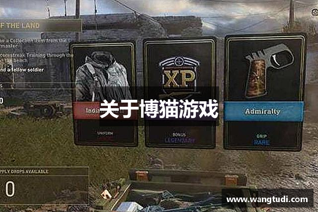 关于博猫游戏